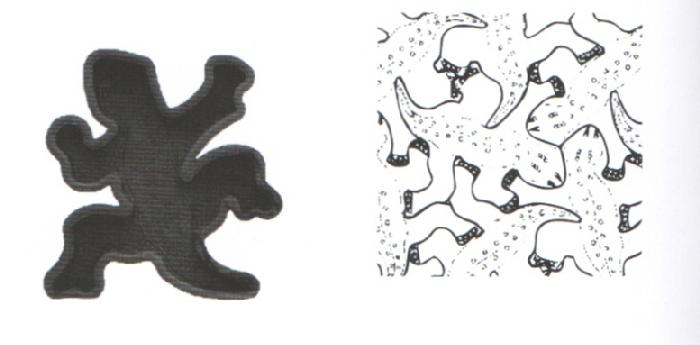 Форма для тротуарной плитки Ящерица 30/3 39х33х5 см фото 1